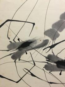 张心正绘虾戏图