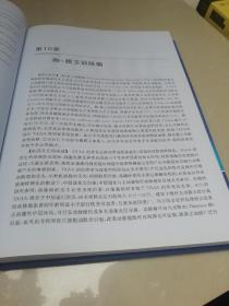 主髂动脉外科学