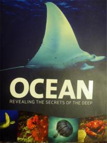 英文原版 Ocean: Secrets of the Deep
