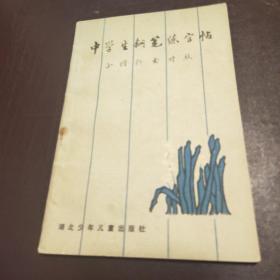 中学生钢笔练字帖 正楷行书对照