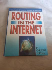 routing in the internet