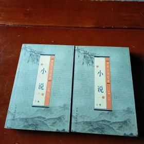 中华文学经典.小说（上下两册）