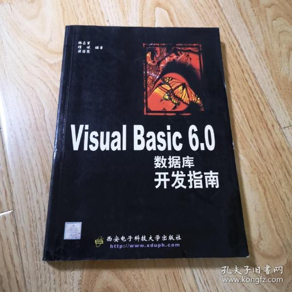 Visual Basic 6.0数据库开发指南