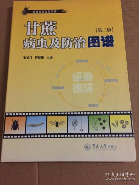 甘蔗有害生物治理：甘蔗病虫及防治图谱