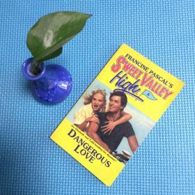 SWEET VALLEY HIGH DANGEROUS LOVE