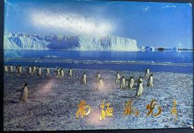 明信片：《南极风光》一套十枚装，有护套。中华人民共和国国家南极考察委员会出版。
