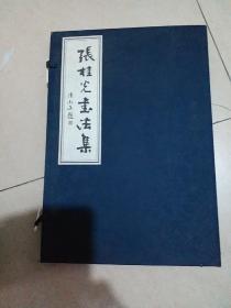 张桂光书法集(带函套册页)