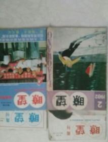 瞭望四本j