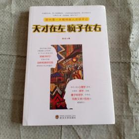 天才在左 疯子在右：国内第一本精神病人访谈手记