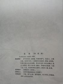 卫生教学图片:中草药(第五辑)10-(2 3 4 5 6 7 8 9 10).9张.53X39CM