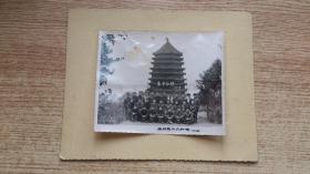 老照片；杭州钱江六和塔多人合影1966年