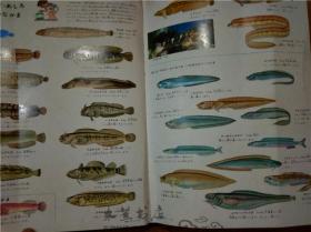原版日本日文书 プログラム式 こどもヵうー図鑑 3うお と かい 东海区水产部研究所主任研究官等 讲谈社 昭和45年版 12开硬精装