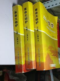 革命大熔炉 上中下 中国人民抗日军事政治大学第一分校【上中下】 【16开 三大厚册】【品相看图】