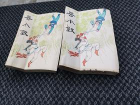 岳小钗 上下