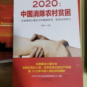 2020：中国消除农村贫困：全面建成小康社会的精准扶贫、脱贫攻坚研究