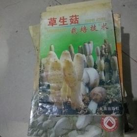 草生菇栽培技术
