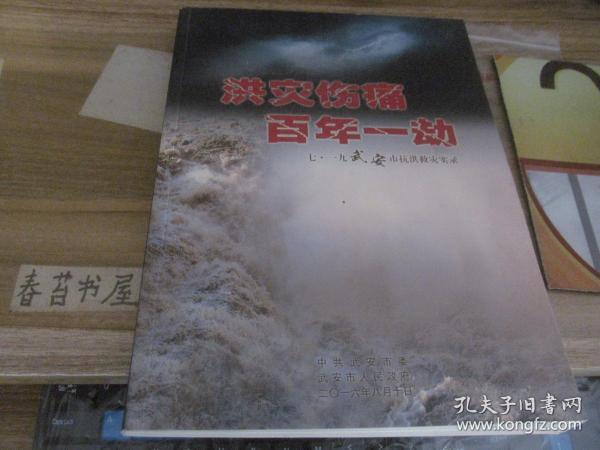 洪灾伤痛  百年一劫---七.一九武安市抗洪救灾实录