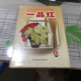 一品红