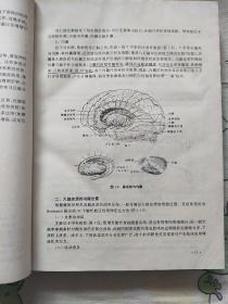 实用颅脑损伤学