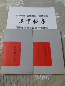 中国文化史（民国学术文化名著）岳麓书社