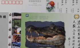 动物、鳄鱼、狮子、济南野生动物世界门票、门券、谢玉堂书法、牡丹邮资片