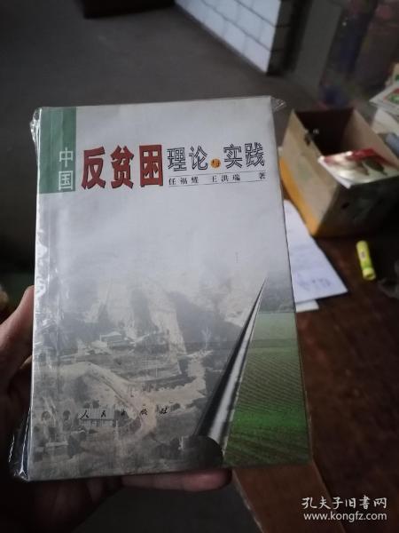 中国反贫困理论与实践