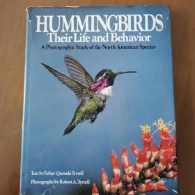HUMMINGBIRDS THEIR LIFE AND BEHAVIOR （大16开精装英文原版 蜂鸟他们的生活和行为）
