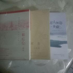 独木舟作品（共三册）
一粒红尘1-2
万人如海一身藏