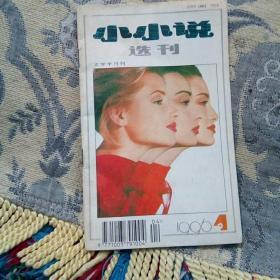 小小说选刊。