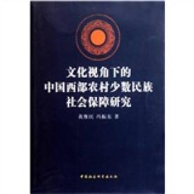 正版书 文化视角下的中国西部农村少数民族社会保障研究