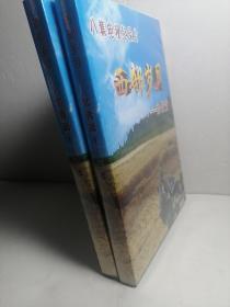 八集电视记录片
西部岁月
知青篇【4碟】