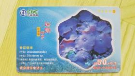 中国网通2004-P-03(4-3)海洋生物3珊瑚世界：香菇珊瑚