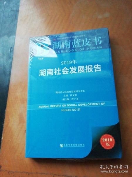 湖南蓝皮书：2019年湖南社会发展报告