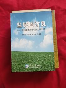 盐碱地改良:土壤次生盐渍化防治与盐渍土改良及利用（有少量划线 如图）