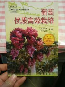 葡萄优质高效栽培