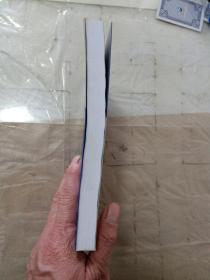 项目管理实战技巧与工具