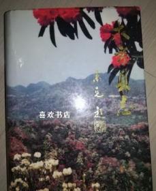 大方县志 方志出版社 1996版 正版