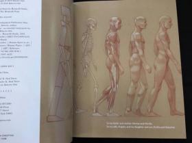 现货 Basic Human Anatomy基本人体解剖学 艺术家必备的视觉指南英文原版精装