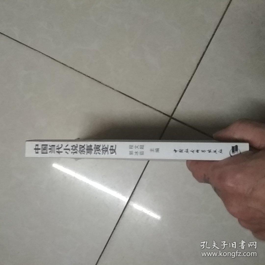中国当代小说叙事演变史