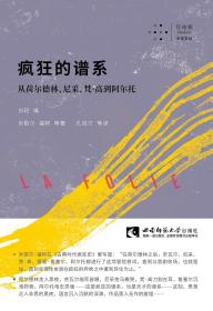 疯狂的谱系：从荷尔德林、尼采、梵·高到阿尔托/拜德雅卡戎文丛