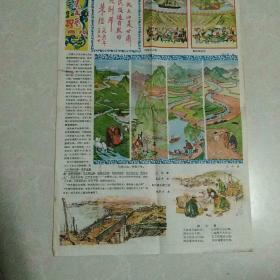 工农文艺画刊1959.8.11