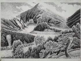 终身保真钢笔画，邓勇，钢笔画40*50cm钢笔画
           男，1962年出生，四川绵阳人。现为：中国钢笔画联盟成员、中国名人名家书画院会员、中国艺术家收藏协会名誉理事、北京东方翰林书画院名誉副院长。