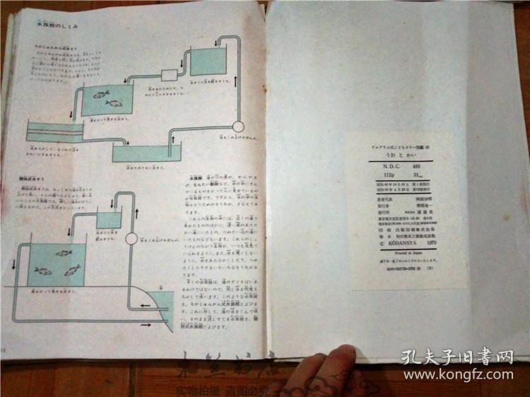 原版日本日文书 プログラム式 こどもヵうー図鑑 3うお と かい 东海区水产部研究所主任研究官等 讲谈社 昭和45年版 12开硬精装