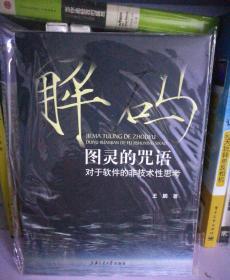解码图灵的咒语：对于软件的非技术性思考
