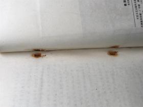 桅顶瞭望 / 金桨丛书