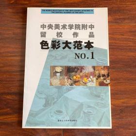 中央美术学院附中留校作品：色彩大范本NO.1