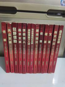 中国当代官场言情纪实小说系列《13册》