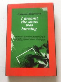 I Dreamt the Snow was Burning