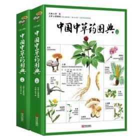 正版全新 中国中草药图典大全 中草药彩图大全书彩色图谱图解本草纲目中医学书籍中药材鉴别专业大全图鉴 中草药花谱中药学