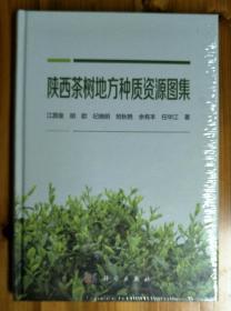 陕西茶树地方种质资源图集